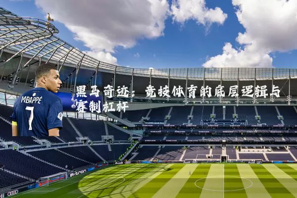 黑马奇迹:竞技体育的底层逻辑与赛制杠杆